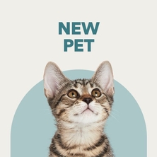 New Pet Shop