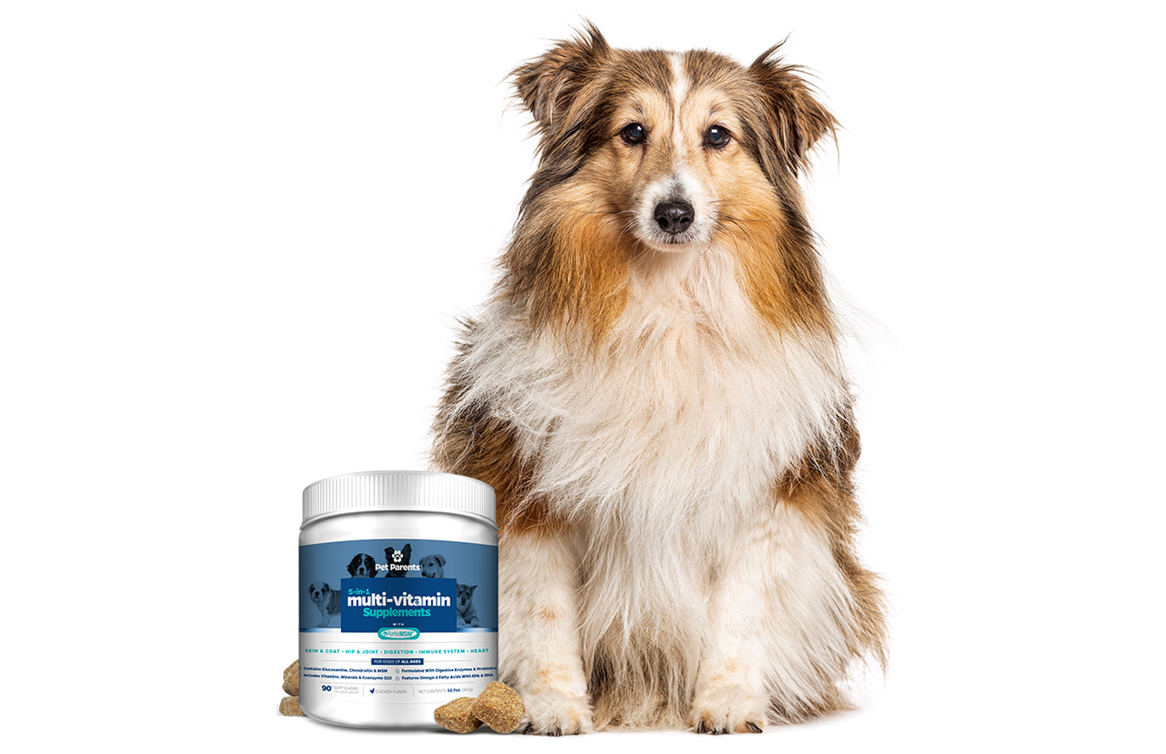 can i give my rough collie fish oil for humans